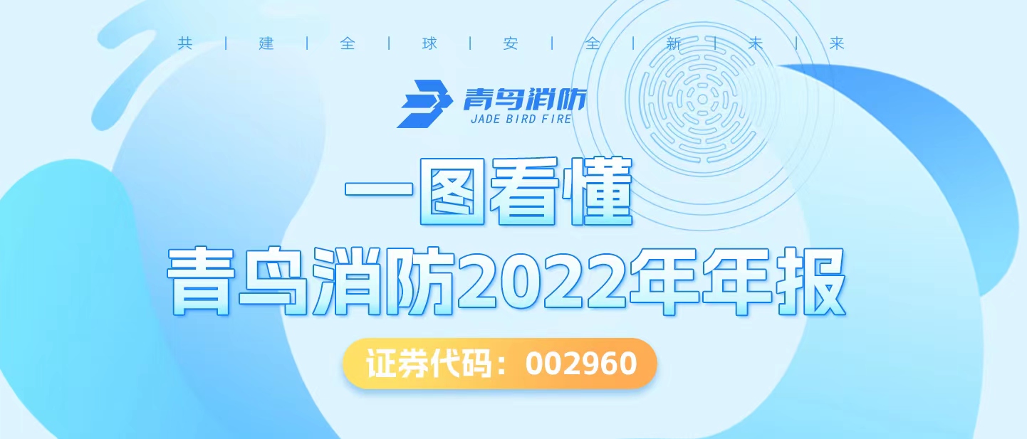 一图看懂千亿国际2022年年报