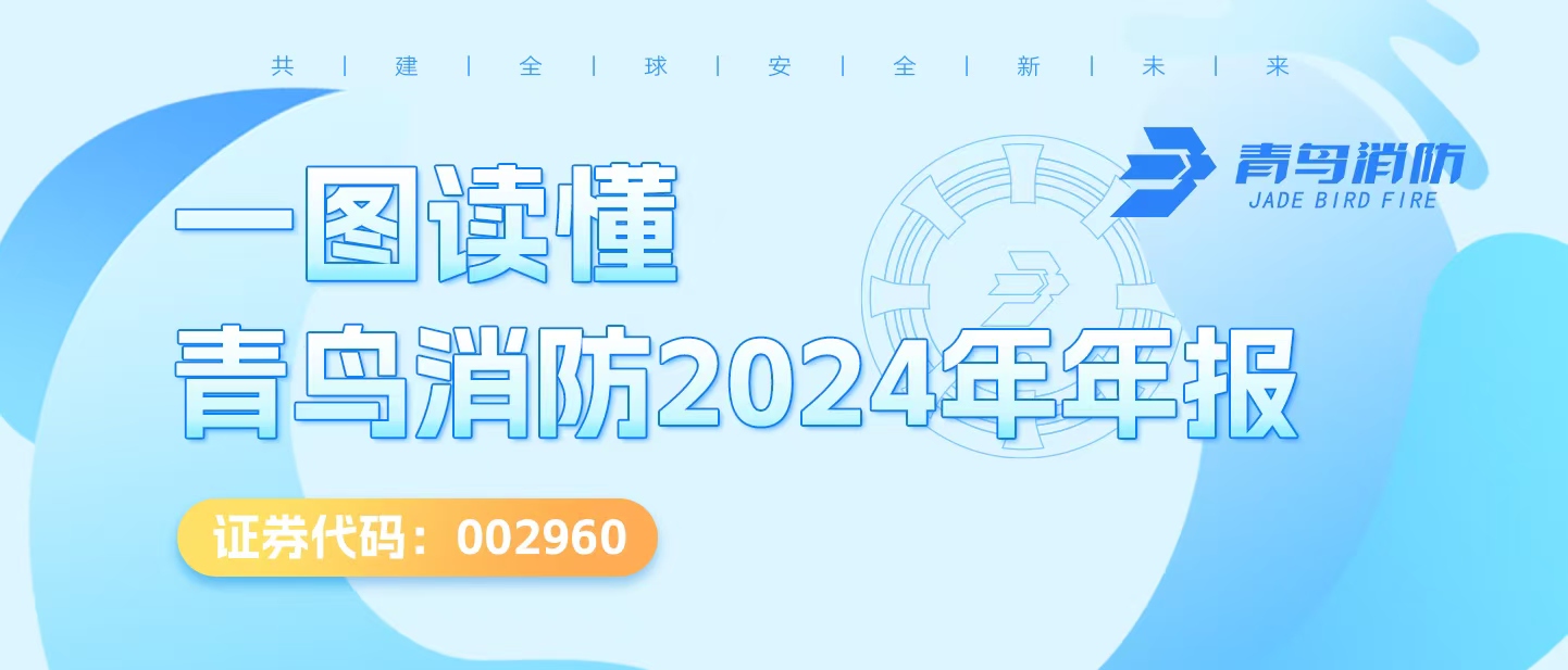 一图读懂千亿国际2024年年报